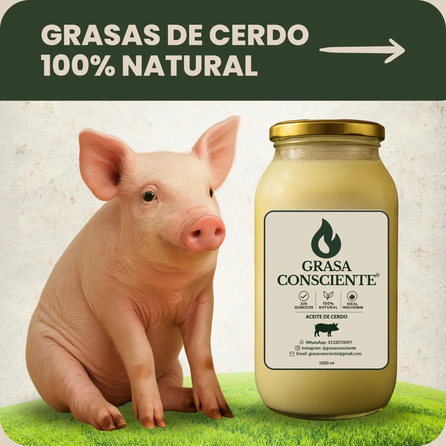 Grasas de Cerdo