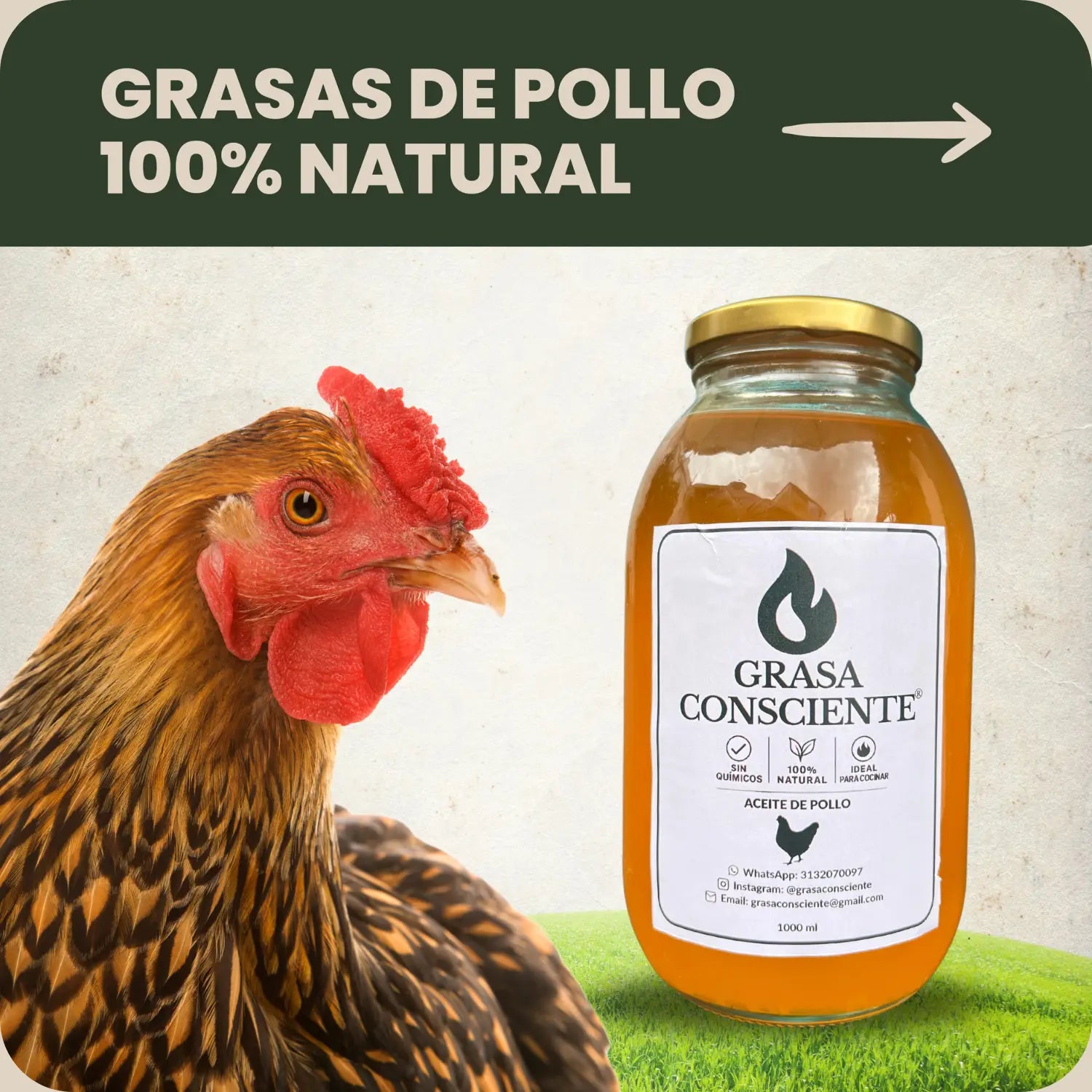 Grasas de Pollo