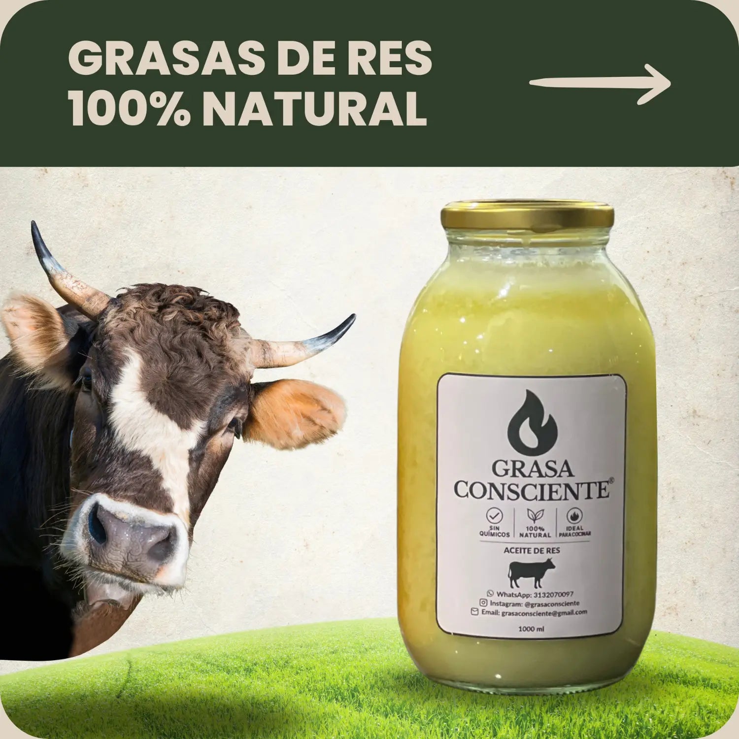 Grasas de Res